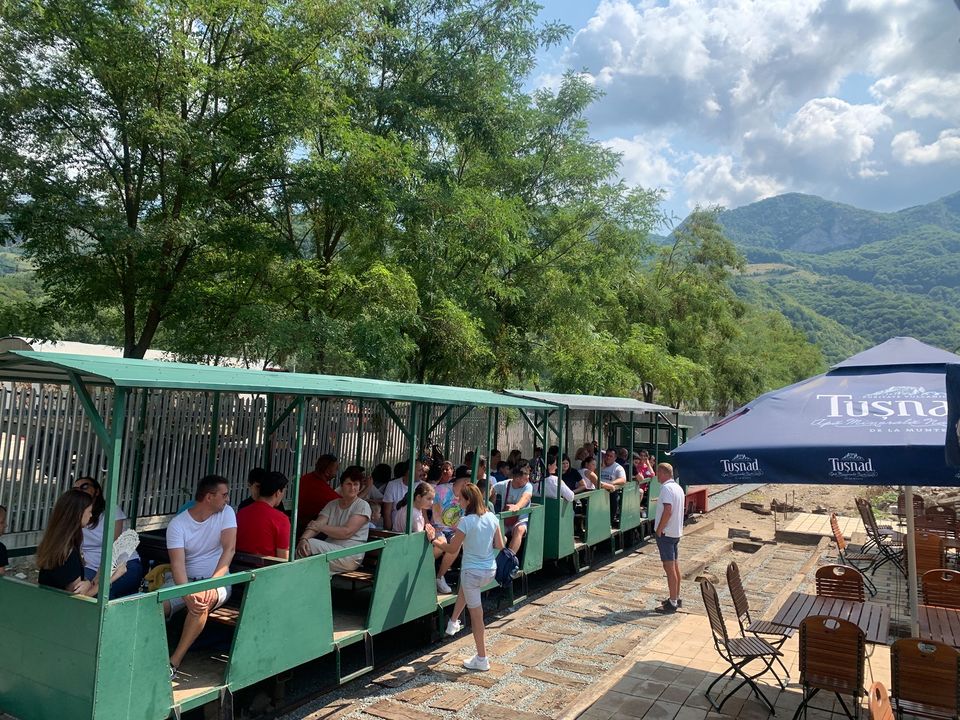 Cursă cu Mocănița Apusenilor