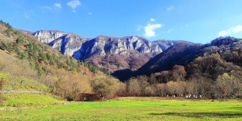 Mocanita_Apusenilor-Priveliste_ Salciua_de_Jos-The_Land_of_Gogs